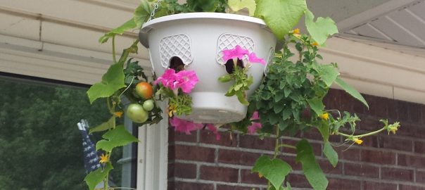 How to Grow Vegetables in Hanging Baskets