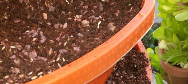 How to Start Seeds in the Smart Farm – Preparing Your Growing Medium