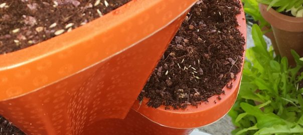 How to Start Seeds in the Smart Farm – Choosing What to Grow